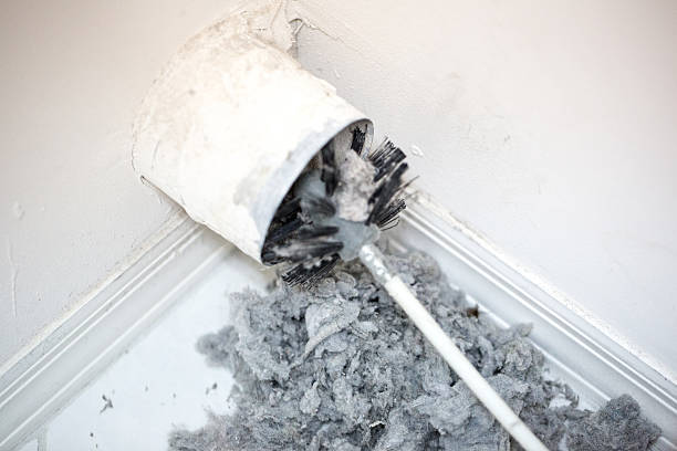 Air Duct Mold Removal in Seminole, FL